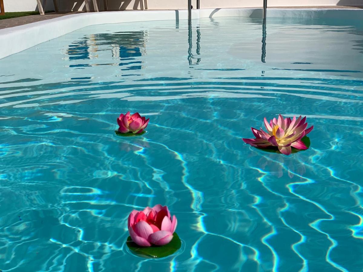 Pico Partido Villa Heated Pool Tinguaton エクステリア 写真